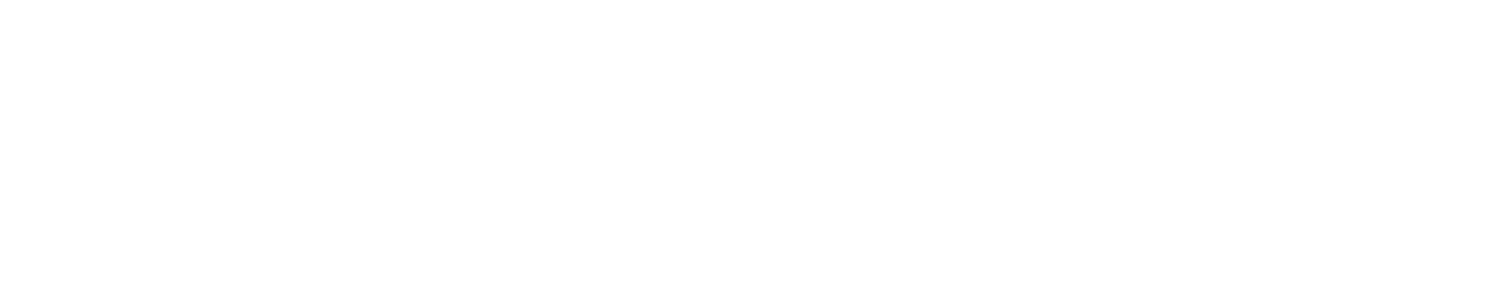 Expert Cortex Logo