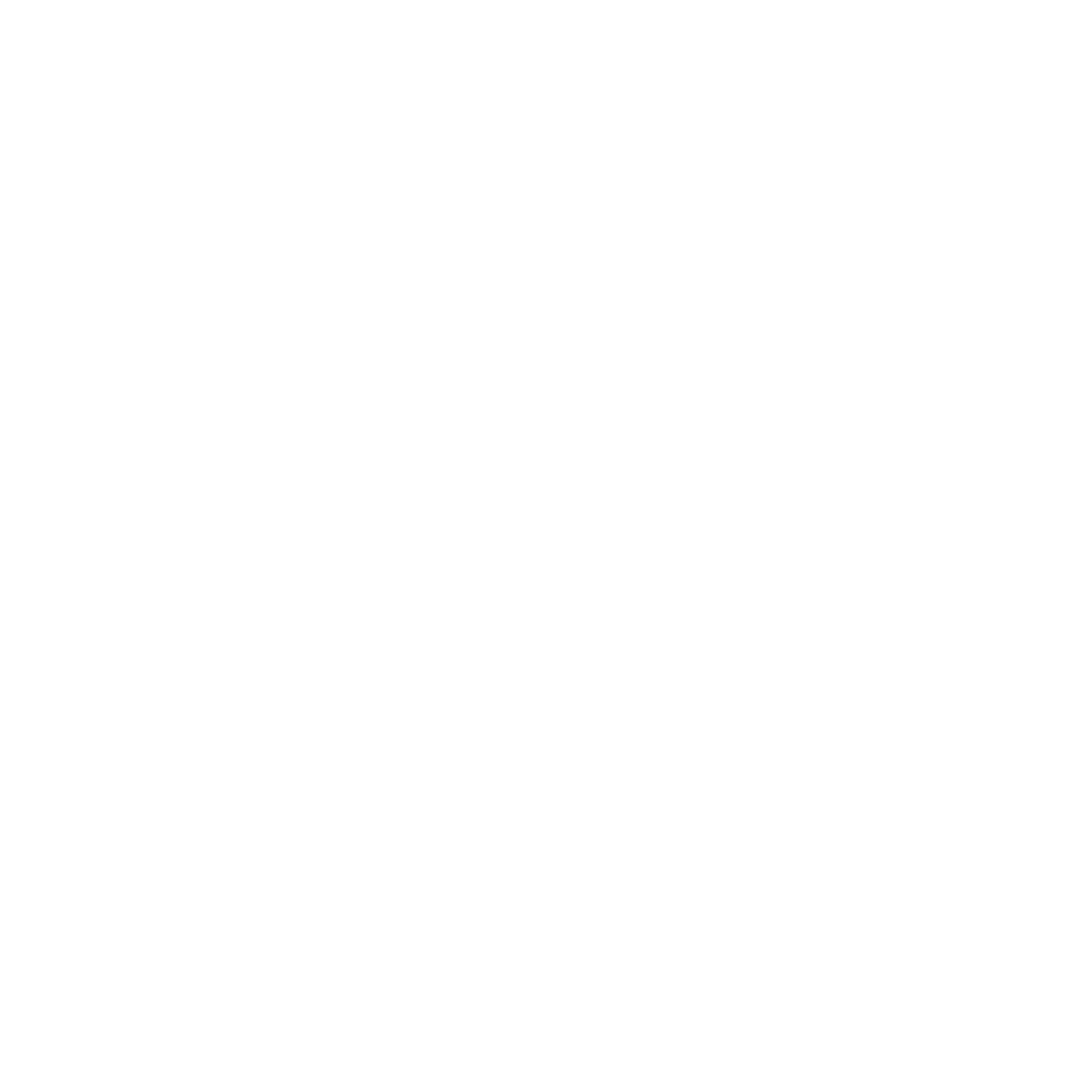 Expert Cortex